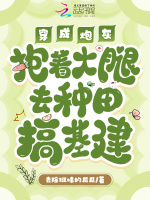 小说《穿成炮灰，抱着大腿去种田搞基建》封面