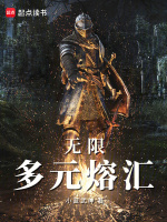 小说《无限：多元熔汇》封面
