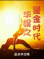 小说《华娱之鎏金时代》封面
