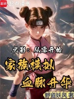 小说《火影：从零开始家族模拟血脉升华》封面