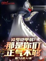 小说《修罗铠甲弱？那是你们正气不够！》封面