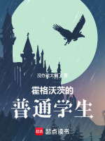小说《霍格沃茨的普通学生》封面