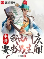小说《水浒：我西门庆要当男主角！》封面