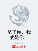 小说《杀了你，我就是你！》封面