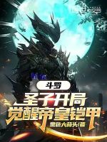 小说《斗罗：圣子开局，觉醒帝皇铠甲》封面