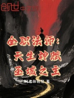 小说《全职法师：天生神赋，圣城之主》封面