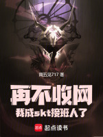 小说《再不收网，我成skt接班人了》封面
