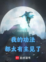 小说《我的功法都太有主见了》封面