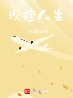 小说《现挂人生》封面