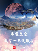 小说《吞噬星空：我有一卷道藏书》封面