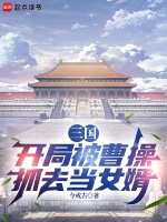 小说《三国：开局被曹操抓去当女婿》封面
