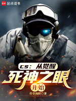 小说《CS：从觉醒死神之眼开始》封面