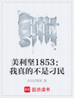 小说《美利坚1853：我真的不是刁民》封面