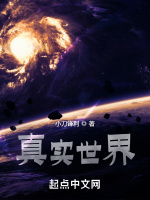 小说《真实世界》封面