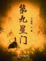 小说《第九星门》封面