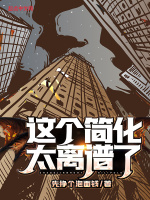 小说《这个简化太离谱了！》封面