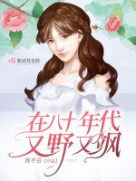 小说《在八十年代又野又飒》封面