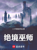 小说《绝境巫师》封面