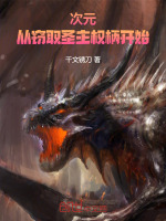 小说《次元：从窃取圣主权柄开始》封面