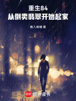 小说《重生84，从倒卖翡翠开始起家》封面