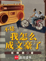 小说《不是，我怎么成文豪了》封面