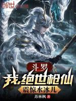 小说《斗罗：我，绝世枪仙，震惊水冰儿》封面