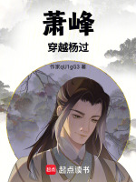 小说《萧峰穿越杨过》封面