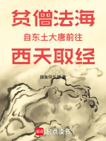 小说《贫僧法海自东土大唐前往西天取经》封面
