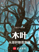 小说《木叶：从惩奸除恶变强》封面