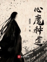 小说《心魔种道》封面
