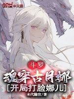 小说《斗罗：魂穿古月娜，开局打脸娜儿》封面