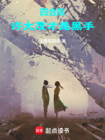 小说《四合院：许大茂才是黑手》封面