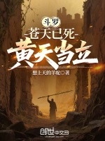 小说《斗罗：苍天已死，黄天当立》封面