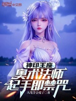 小说《神印王座：奥术法师，起手即禁咒》封面