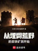 小说《从埋骨荒野的贫铁矿洞开始》封面