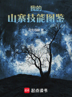 小说《我的山寨技能图鉴》封面