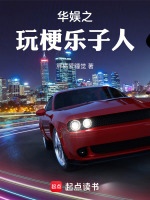 小说《华娱之玩梗乐子人》封面