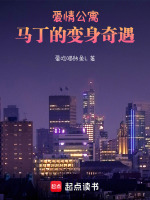 小说《爱情公寓：马丁的变身奇遇》封面