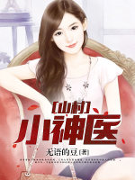 小说《山村小神医》封面