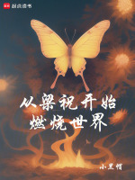 小说《从梁祝开始燃烧世界》封面