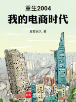 小说《重生2004：我的电商时代》封面