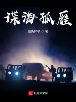 小说《谍海孤雁》封面