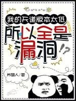 小说《我的天道版本太低，所以全是漏洞》封面