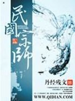 小说《民国宗师》封面