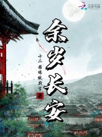 小说《余岁长安》封面