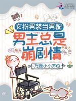 小说《女扮男装当男配：男主总是崩剧情》封面