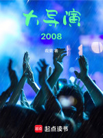 小说《大导演2008》封面
