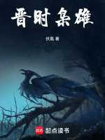 小说《晋时枭雄》封面