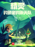 小说《精灵：钓鱼佬的雨天队》封面