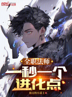 小说《全职法师：一秒一个进化点》封面